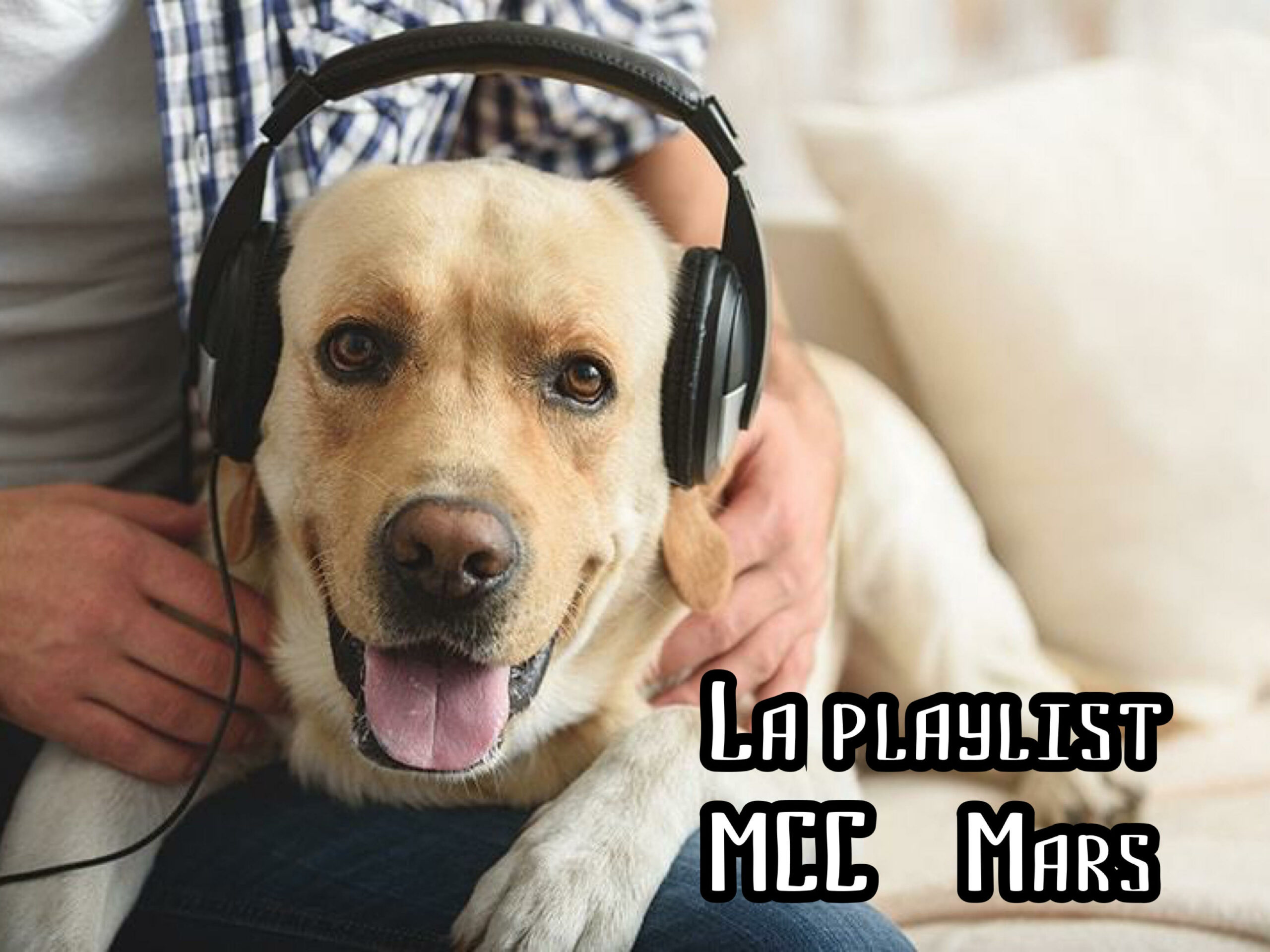 Music pets. Умная собака. Умный пес. Животные в наушниках. Песик в наушниках.